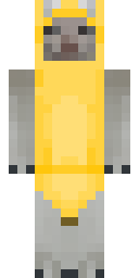 peacefulwhale's Minecraft character, facing forward.